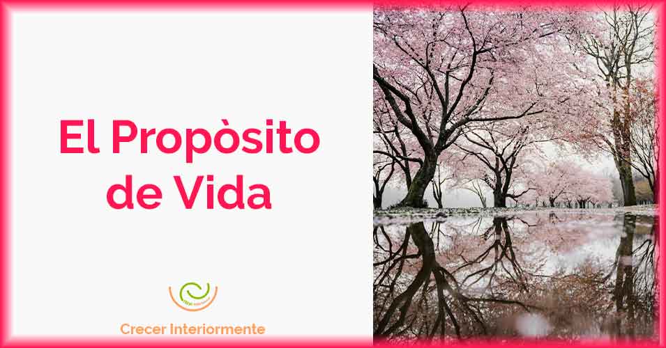El propósito de vida